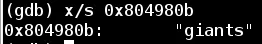 Binary Bomb