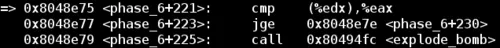 Binary Bomb