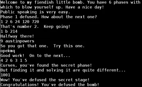 Binary Bomb