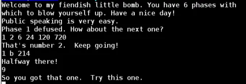 Binary Bomb