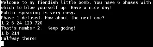 Binary Bomb